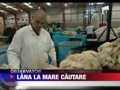 Lana la mare cautare