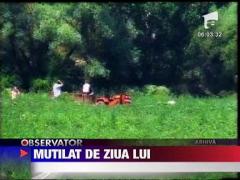 Mutilat de ziua lui