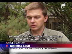 Pui de crocodil de Nil abandonat la gradina zoologica din Varsovia