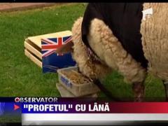 Oia experta in rugby