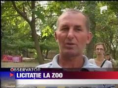 Licitatie cu strigare la Gradina Zoologica din Oradea