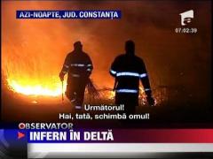 Incendiu devastator in Delta Dunarii