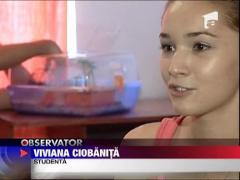 Conditii de patru stele la caminele private