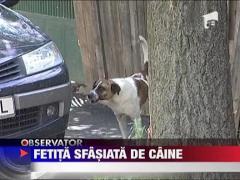 Fetita de doi ani sfasiata de un caine, in Dolj