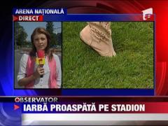 Iarba proaspata pe National Arena