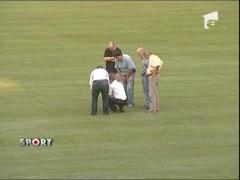 Avem si gazon de cinci stele!