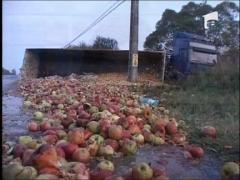 Gorj: TIR cu mere, rasturnat la Scoarta ‎