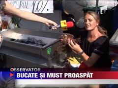 Bucate si must proaspat