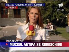 Muzeul Antipa se redeschide