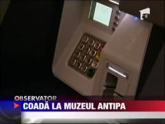 UPDATE /  Coada la Muzeul Antipa