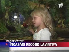 Observator de weekend