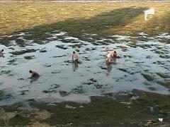 Pescuit in noroaie din cauza saraciei