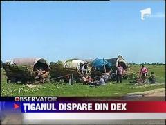 Dispare "tiganul" din DEX