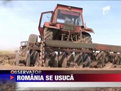 Ne asteapta foametea