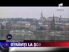 Peru: Elevi omorati cu otrava de soareci