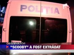 Proxenetul Scooby a fost extradat