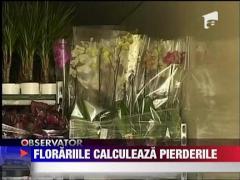 Florariile calculeaza pierderile