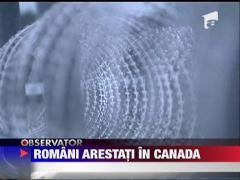 11 romani arestati de politia calare canadiana pentru trecerea ilegala a granitei