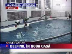 UPDATE / Delfinii din Constanta, in casa noua