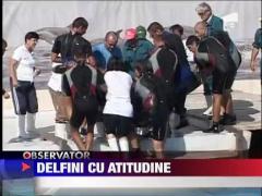 Delfinii din Constanta, in casa noua