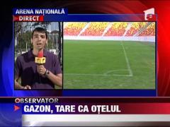 Gazonul de pe Arena Nationala, in stare foarte buna