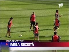 Gazon execelent pe National Arena