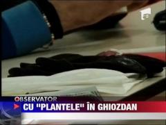 Prinsi cu rucsacul plin de canabis in campus