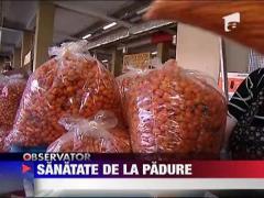 Pietele sunt pline de "medicamente" naturale