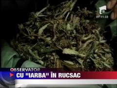 Trei studenti din Iasi au fost prinsi cu trei kilograme de iarba, inghesuite intr-un ghiozdan