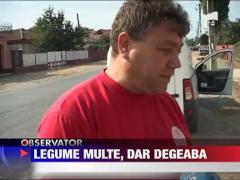 Legume multe, dar degeaba