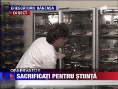 Animale sacrificate pentru stiinta