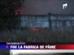 Fabrica mistuita de flacari