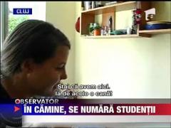 S-au aglomerat caminele