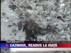 Cazinoul din Constanta va fi readus la viata