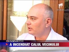 Imagini Socante! A incendiat calul vecinului!