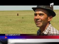 Noi vrem pamant, please!