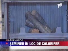 Semineu in loc de calorifer