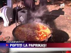 Festivalul Paprikasului si Vinului