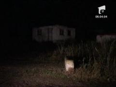 Impuscat de 6 ori in cap pentru cativa pesti