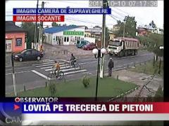 Tanara spulberata pe zebra