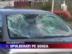 Spulberati pe Drumul National 71