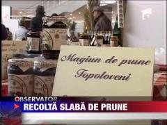 Recolta slaba de prune