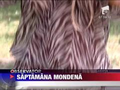 Saptamana mondena
