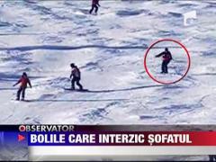 Bolile care interzic sofatul