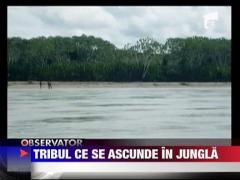 Tribul care se ascunde in jungla