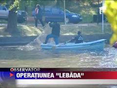 Pasarile din parcurile bucurestene au plecat la iernat