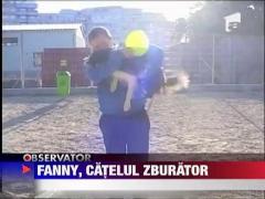 Fanny, catelul zburartor