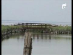 Romanca gasita moarta in Italia