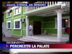 Palate tiganesti luate la control