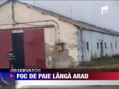 Foc de paie urias langa Arad
